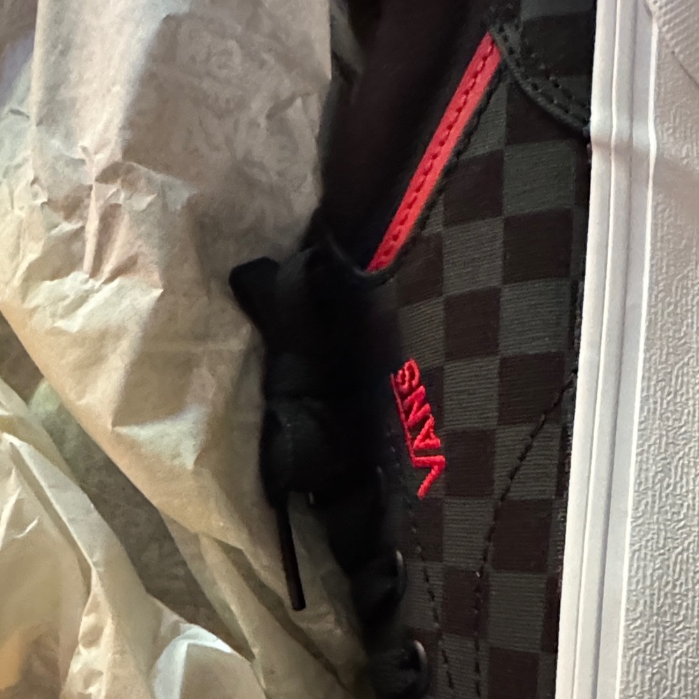 Vans Black and Red Checkered Shoes